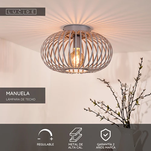Lucide MANUELA - Lámpara de techo - Ø 39,5 cm - 1xE27 - Gris - USP